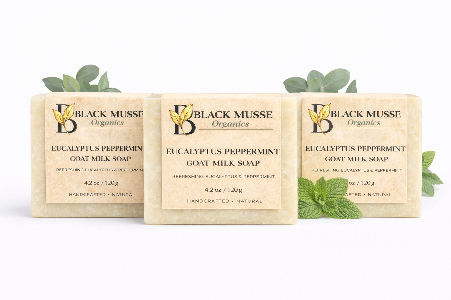 Eucalyptus Peppermint Infused Oil Bar – Goat Milk Soap (Pack of 3)