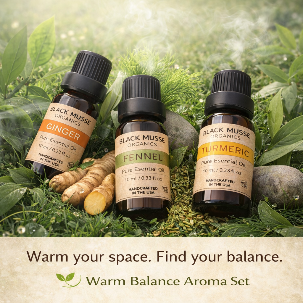 Warm Balance Essential Oil Set | Ginger Fennel Turmeric | 3×10 ml - Warm Aromas