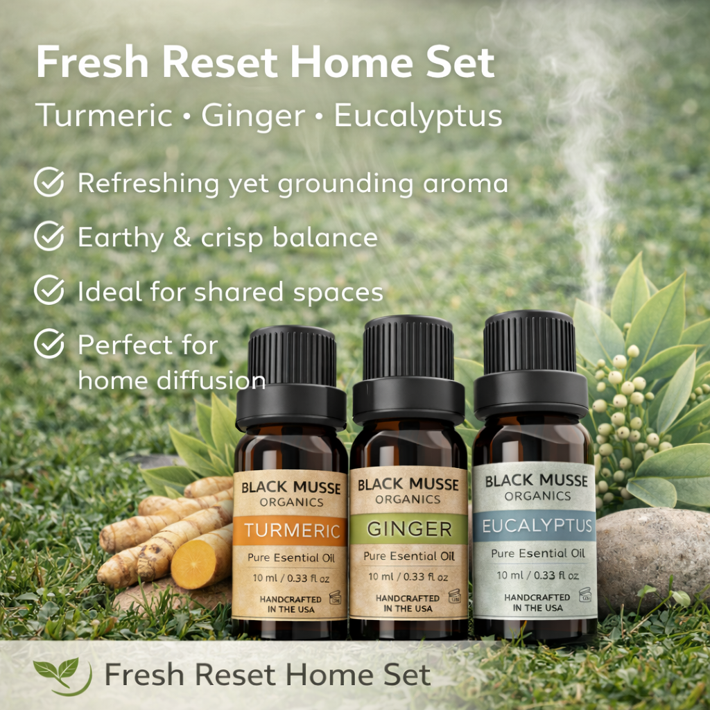 Fresh Reset Essential Oil Set | Turmeric Ginger Eucalyptus | 3×10 ml