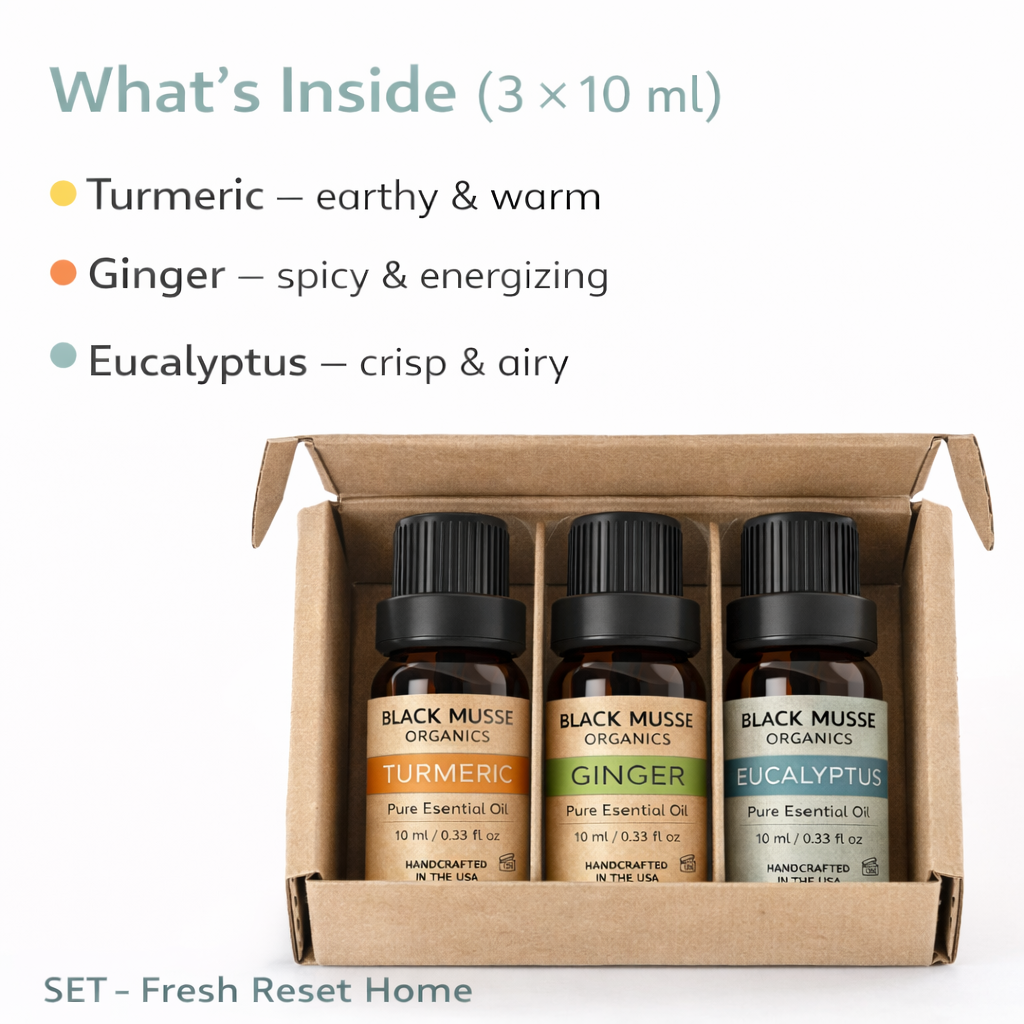 Fresh Reset Essential Oil Set | Turmeric Ginger Eucalyptus | 3×10 ml