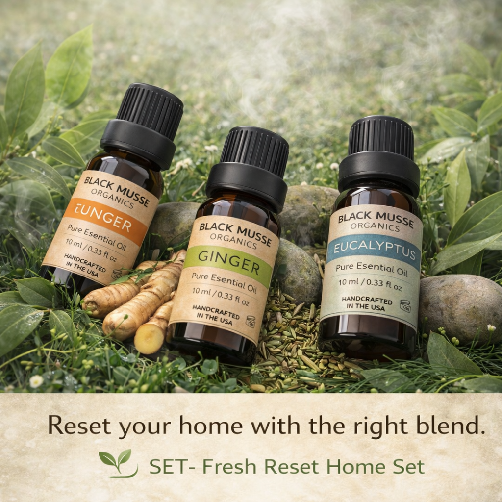 Fresh Reset Essential Oil Set | Turmeric Ginger Eucalyptus | 3×10 ml